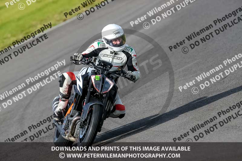 PJ Motorsport 2019;anglesey no limits trackday;anglesey photographs;anglesey trackday photographs;enduro digital images;event digital images;eventdigitalimages;no limits trackdays;peter wileman photography;racing digital images;trac mon;trackday digital images;trackday photos;ty croes